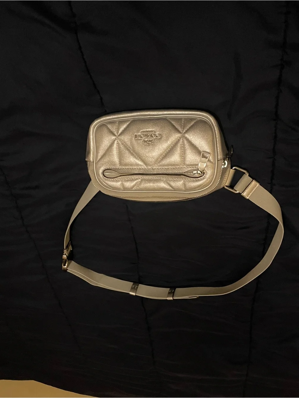 Coach Mini Puffy Diamond Belt Bag in Metallic Silver